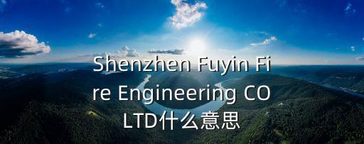 深圳市消防公司，Shenzhen Fuyin Fire Engineering COLTD什么意思