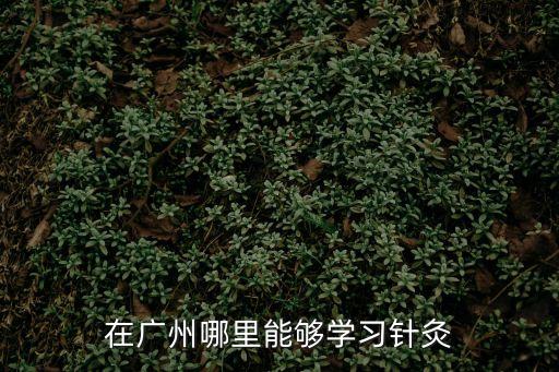 在廣州哪里能夠學習針灸