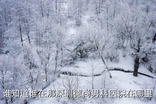 深圳德尚男科地址，誰知道誰在那深圳德尚男科醫院在哪里