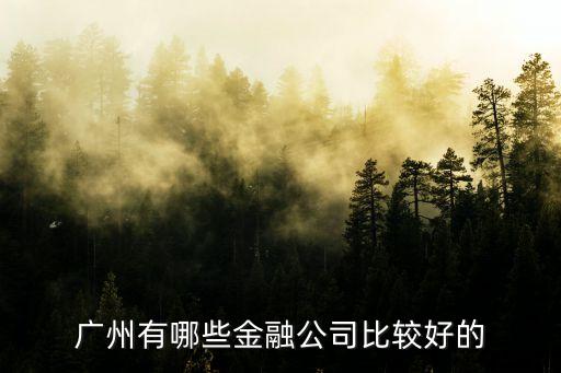 廣州有哪些金融公司比較好的