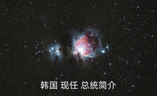 韓國 現任 總統簡介