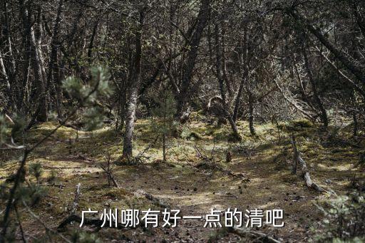 廣州哪有好一點的清吧