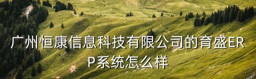 廣州恒康信息科技有限公司的育盛ERP系統怎么樣