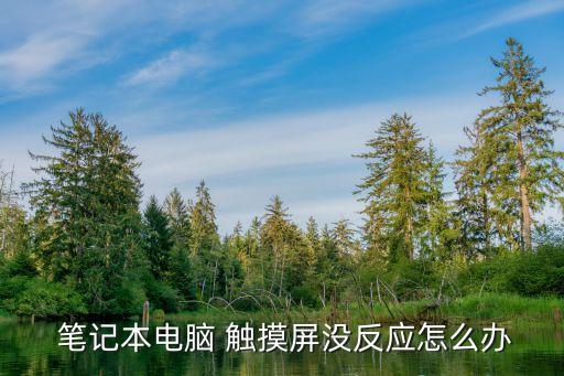 筆記本觸摸板沒反應(yīng),win10筆記本觸摸板沒反應(yīng)