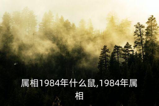 84年屬什么生肖,191984年屬什么生肖
