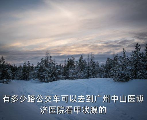 有多少路公交車可以去到廣州中山醫(yī)博濟(jì)醫(yī)院看甲狀腺的