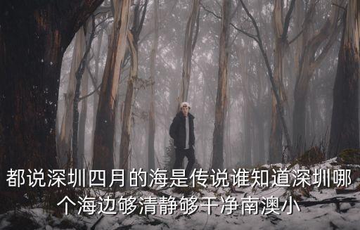 深圳 獨島，獨島 到底屬于哪兒