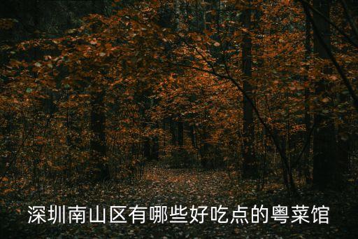 深圳南山區有哪些好吃點的粵菜館