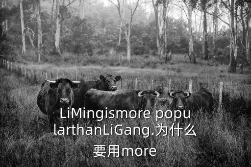 LiMingismore popularthanLiGang.為什么要用more