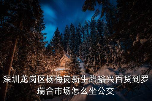 深圳龍崗楊梅崗市場，深圳龍崗區(qū)楊梅崗新生路裕興百貨到羅瑞合市場怎么坐公交