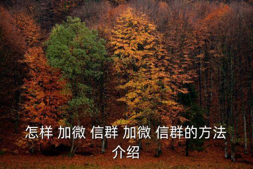 怎么加微信群號,微信群一鍵加好友