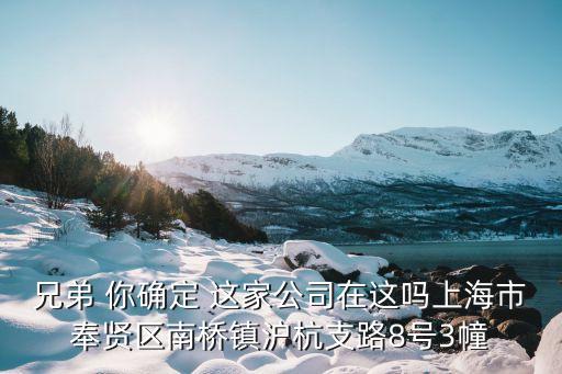 兄弟 你確定 這家公司在這嗎上海市奉賢區南橋鎮滬杭支路8號3幢