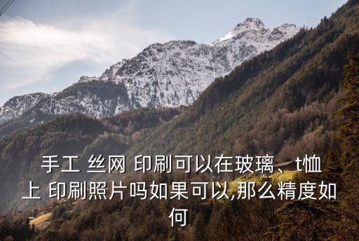  手工 絲網 印刷可以在玻璃、t恤上 印刷照片嗎如果可以,那么精度如何