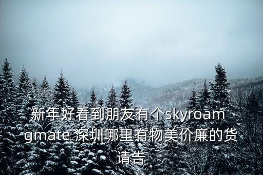 新年好看到朋友有個skyroam gmate 深圳哪里有物美價廉的貨請告