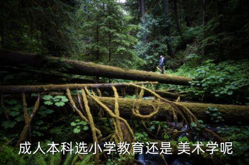 成人美術