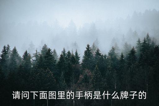 深圳游戲手柄生產，請問下面圖里的手柄是什么牌子的