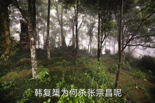 韓復(fù)渠,韓復(fù)渠放棄山東因懼怕日本人?