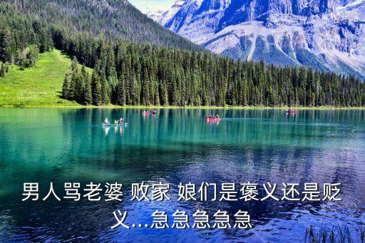敗家娘們兒,敗家娘們兒的歌詞