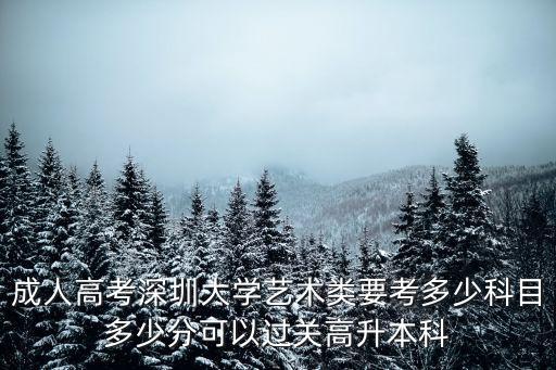 深圳大學成考科目，深圳大學的人力資源專業需要成人考試哪些科目