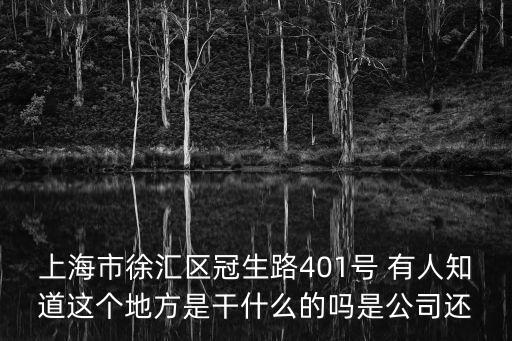 上海市徐匯區特殊教育指導中心，上海市徐匯區冠生路401號 有人知道這個地方是干什么的嗎是公司還