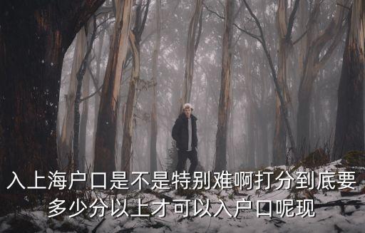 入上海戶口是不是特別難啊打分到底要多少分以上才可以入戶口呢現