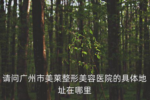 請問廣州市美萊整形美容醫院的具體地址在哪里