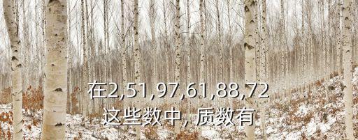 在2,51,97,61,88,72這些數中, 質數有