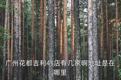 廣州花都吉利4s店有幾家啊地址是在哪里