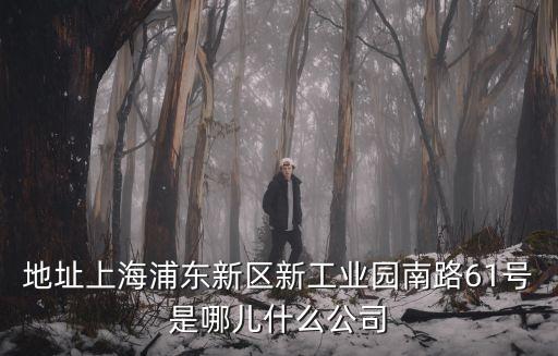 上海市世卿防滑公司，地面防滑劑怎么樣