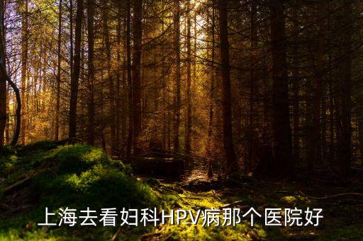 上海市hpv，上海哪個醫院治hpv效果好