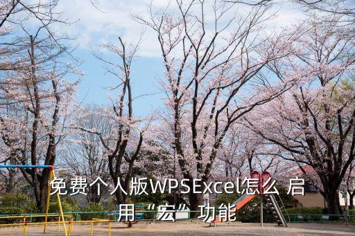 免費(fèi)個(gè)人版WPSExcel怎么 啟用“宏”功能