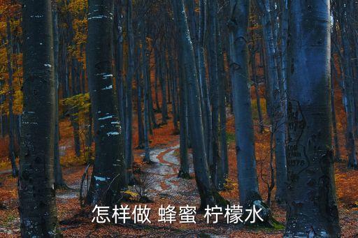 怎樣做 蜂蜜 檸檬水