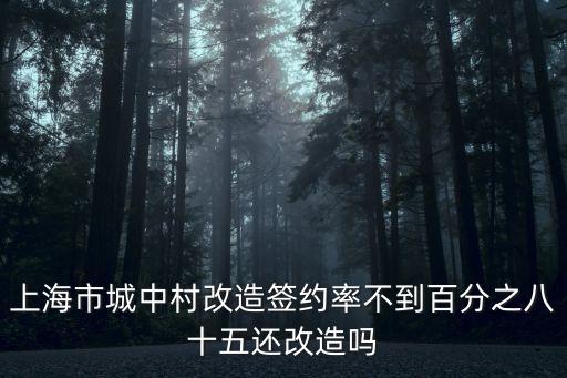 上海市城中村改造試點，城中村改造工程