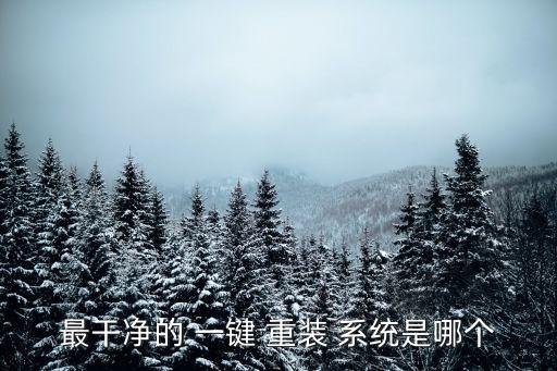 系統(tǒng)之家一鍵重裝系統(tǒng),怎樣重裝系統(tǒng)win10