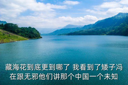 藏海花到底更到哪了 我看到了矮子馮在跟無邪他們講那個中國一個未知