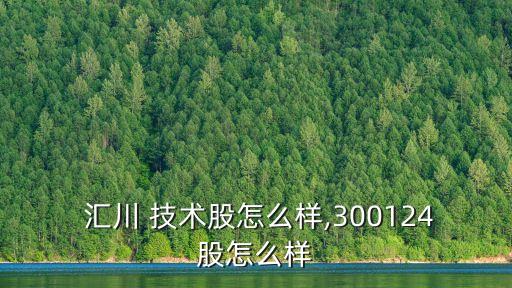  匯川 技術(shù)股怎么樣,300124股怎么樣