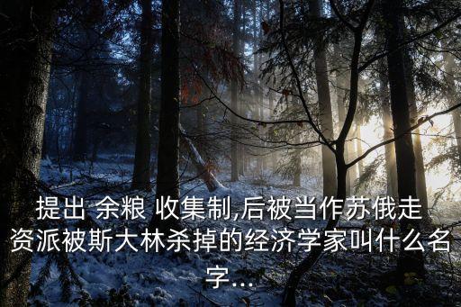 余糧收集制,實(shí)物稅代替余糧收集制