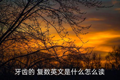 tooth的復數形式