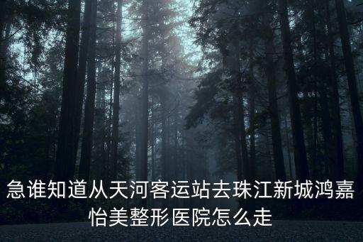 急誰知道從天河客運站去珠江新城鴻嘉怡美整形醫院怎么走