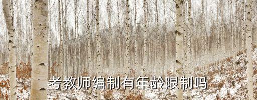 考教師編制有年齡限制嗎