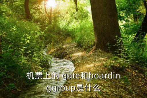 gate是什么意思