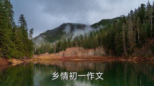 鄉(xiāng)情結尾,電影鄉(xiāng)情結尾