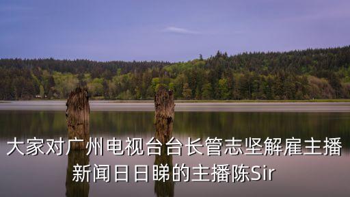 大家對(duì)廣州電視臺(tái)臺(tái)長(zhǎng)管志堅(jiān)解雇主播新聞日日睇的主播陳Sir