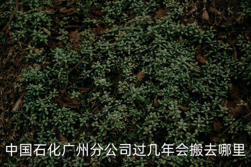 廣州石化廠能搬遷么，中國石化廣州分公司過幾年會搬去哪里