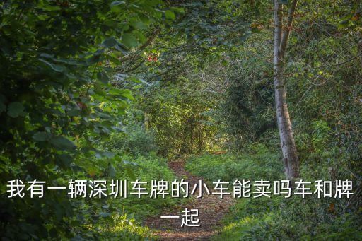 賣深圳車牌和車，我有一輛深圳車牌的小車能賣嗎車和牌一起