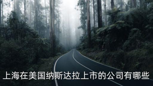 上海在美國納斯達拉上市的公司有哪些