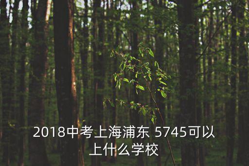 2018中考上海浦東 5745可以上什么學校