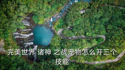 完美世界 諸神 之戰寵物怎么開三個技能