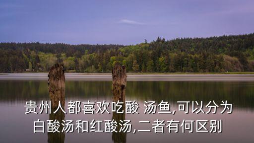  貴州人都喜歡吃酸 湯魚(yú),可以分為白酸湯和紅酸湯,二者有何區(qū)別