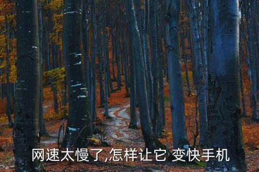  網速太慢了,怎樣讓它 變快手機